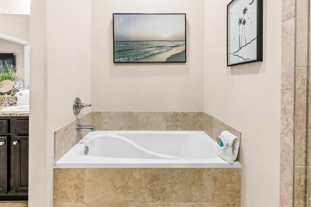 Alerio C 104 * Destin