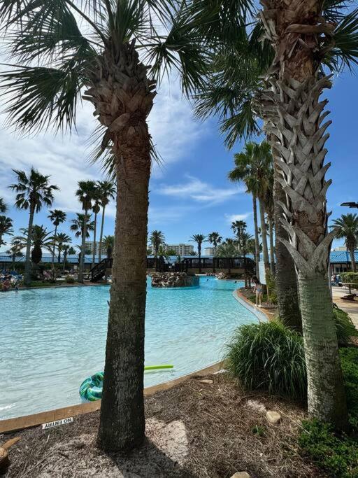 Apartment Pool View At Palms Of