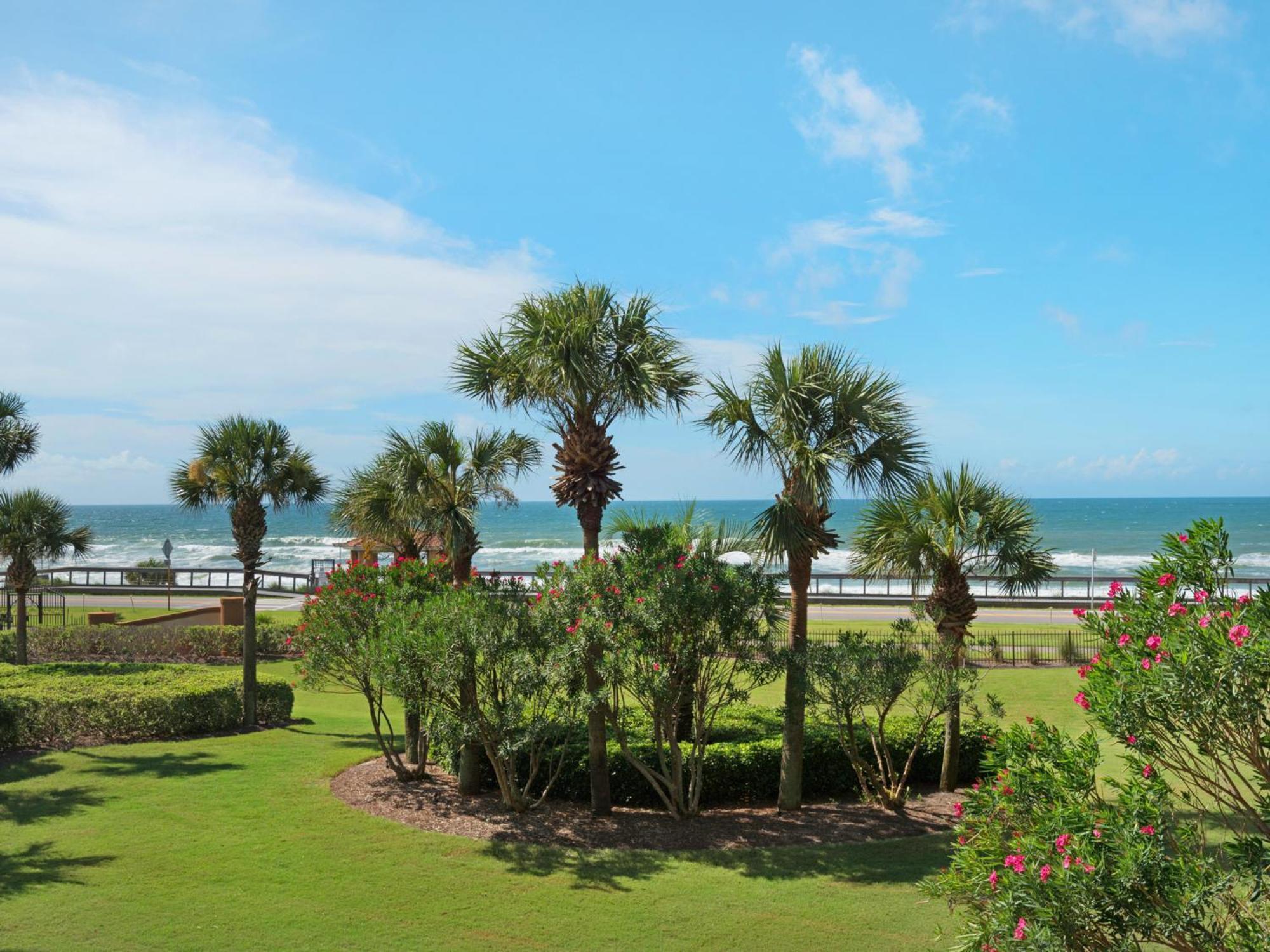Mediterranea 304b By Newman-dailey