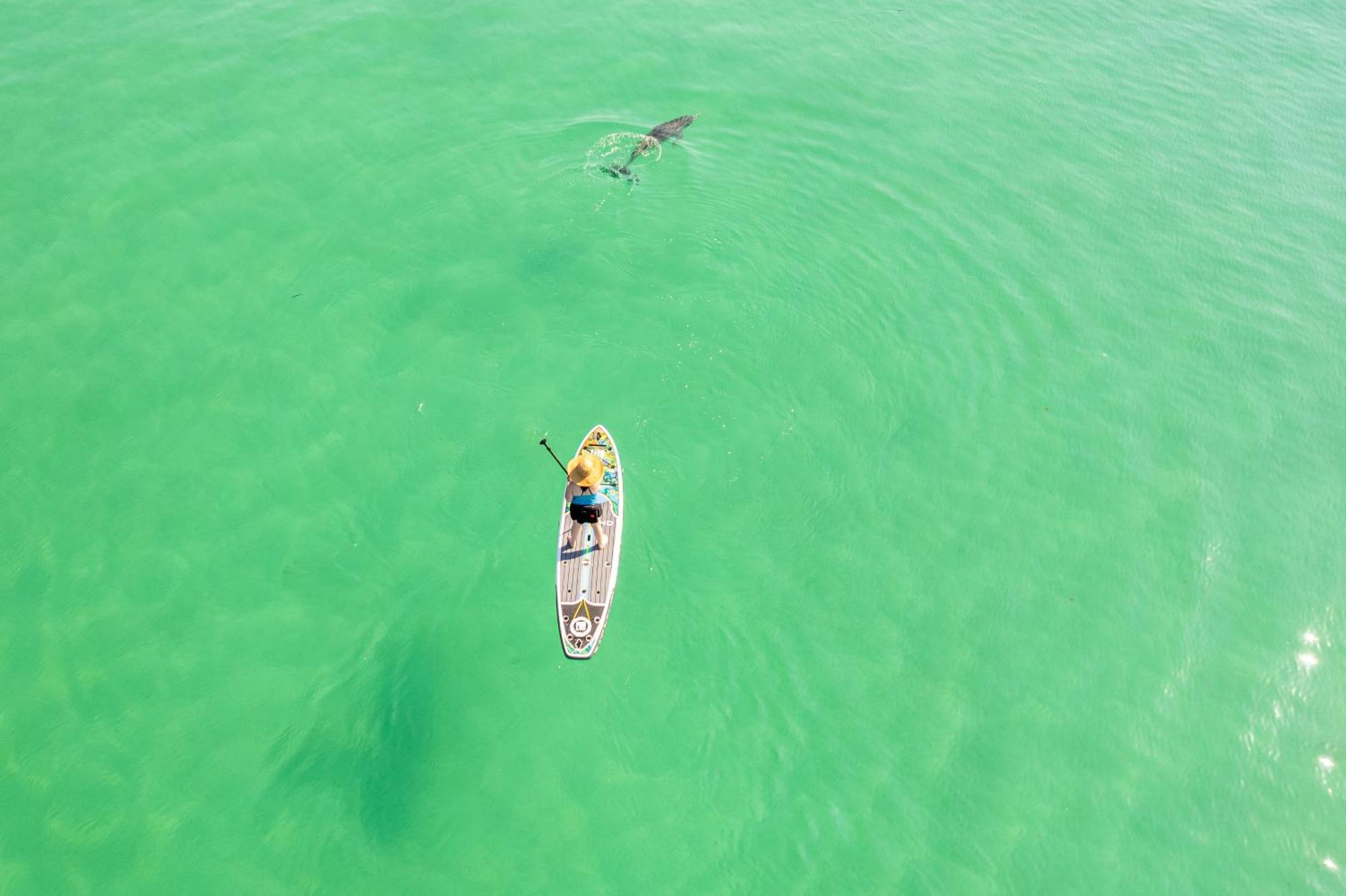 Oceania 807- By Isle Apartment Destin