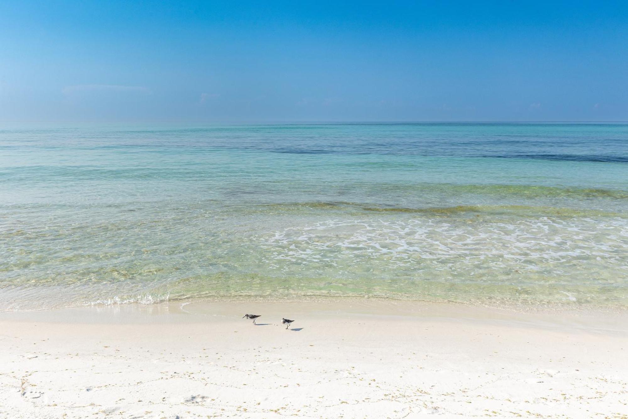 Apartment Sandpiper Cove 2021- By Isle
