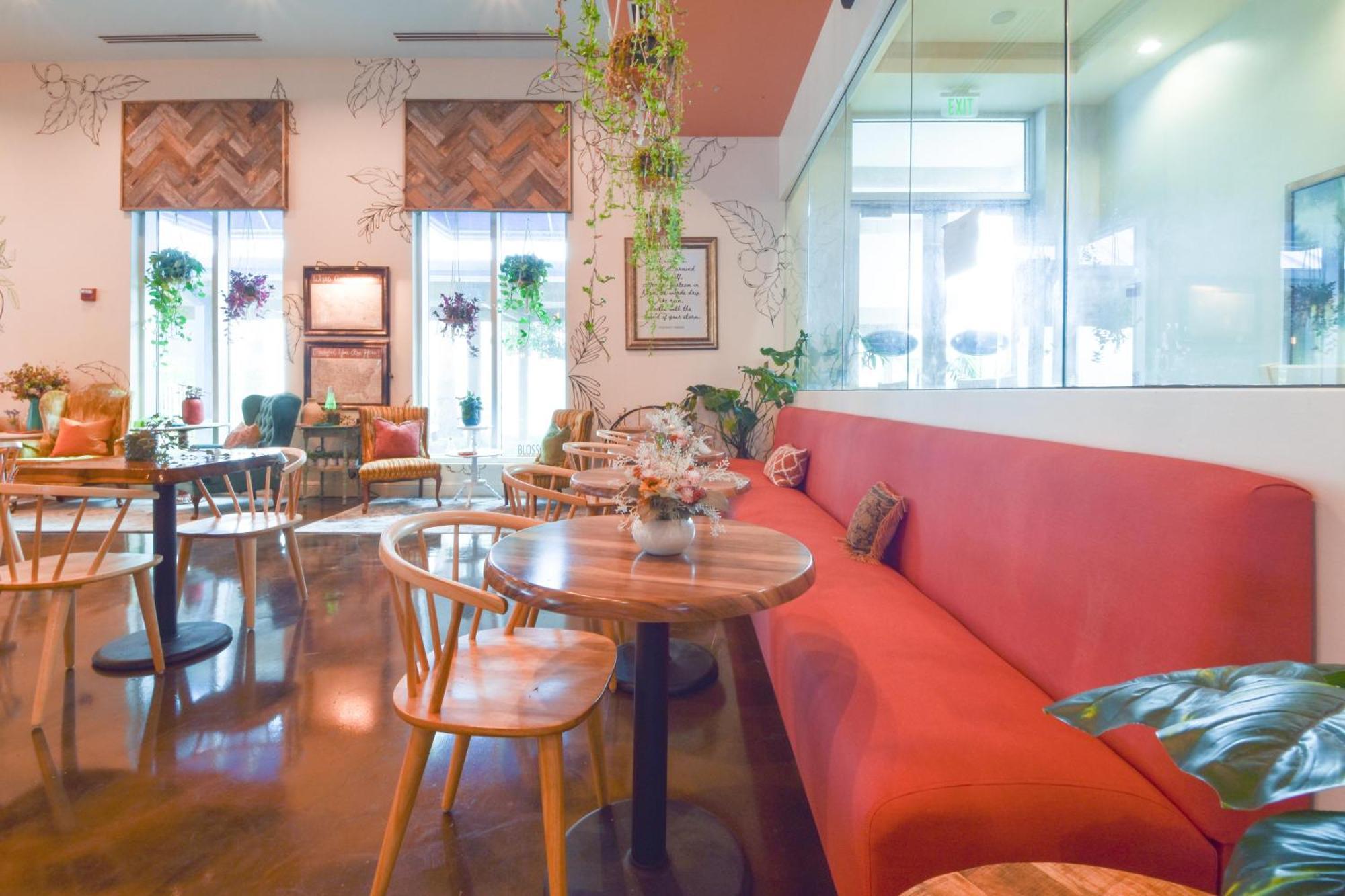 The Palms Of 1511 Junior Apartment