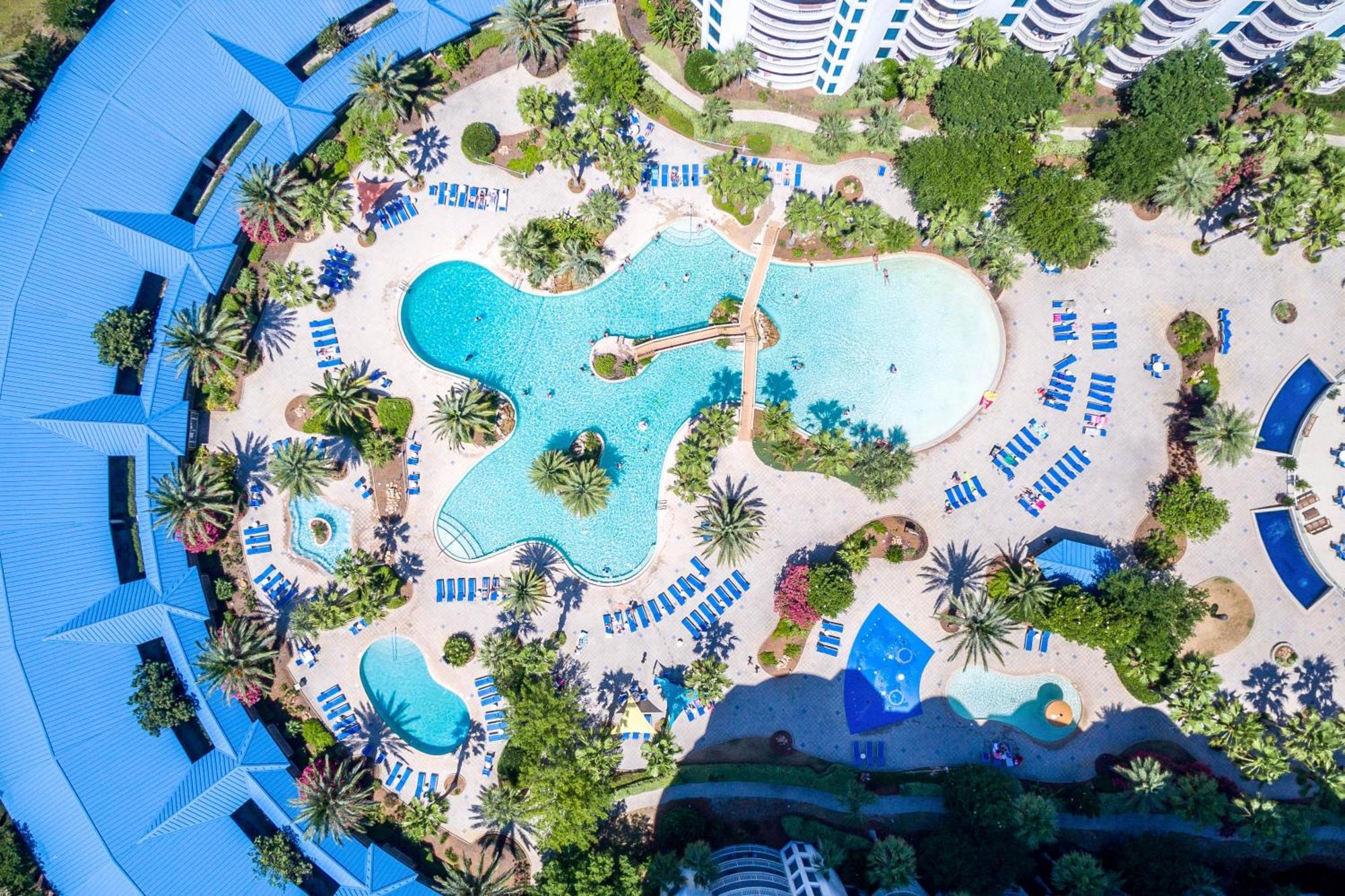 The Palms Of 2309 Junior Apartment