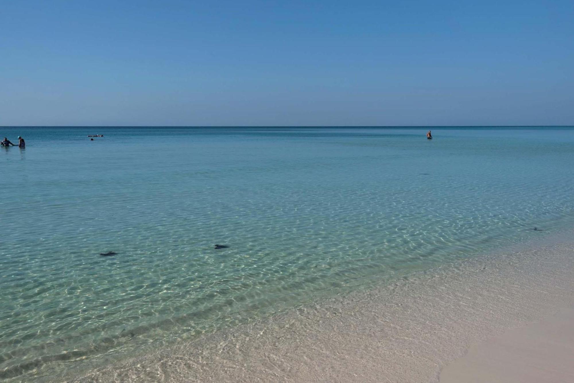 Majestic Sun 302a Holiday home Destin
