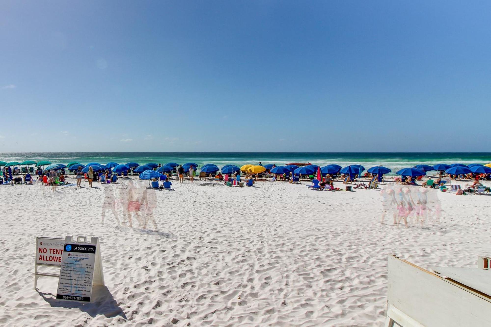 Pelican * Destin