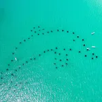 Inlet Reef 212- By Holiday Isle Properties