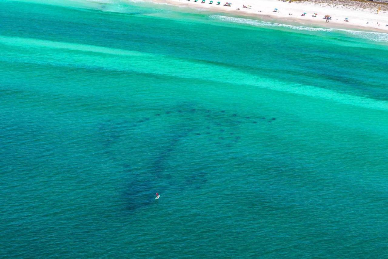 Cozy Shore * Destin