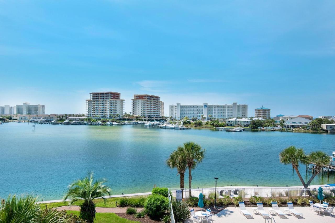 Dolphin Point 404c *