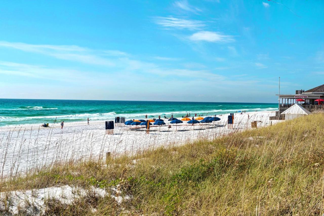 Ariel Dunes I 302 * Destin