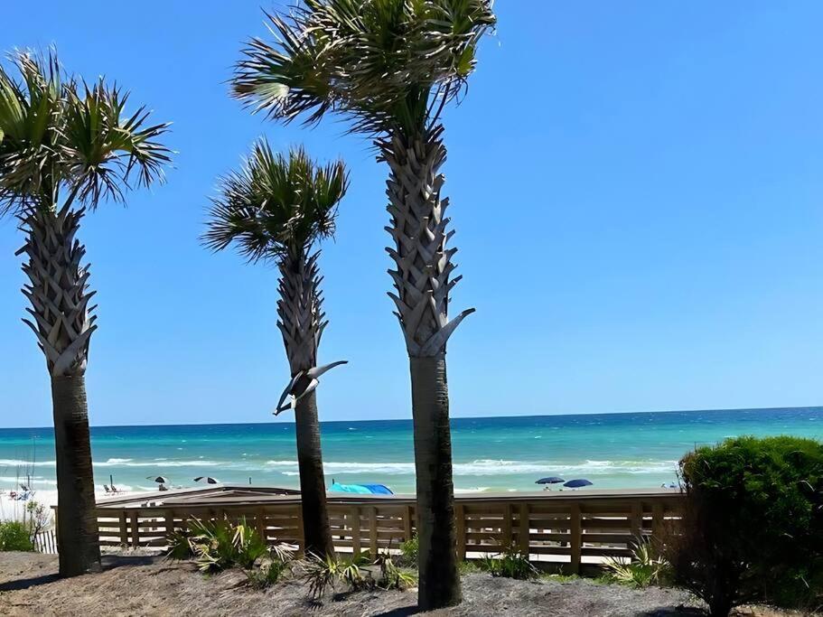 Lagoon Palms At The Palms Of