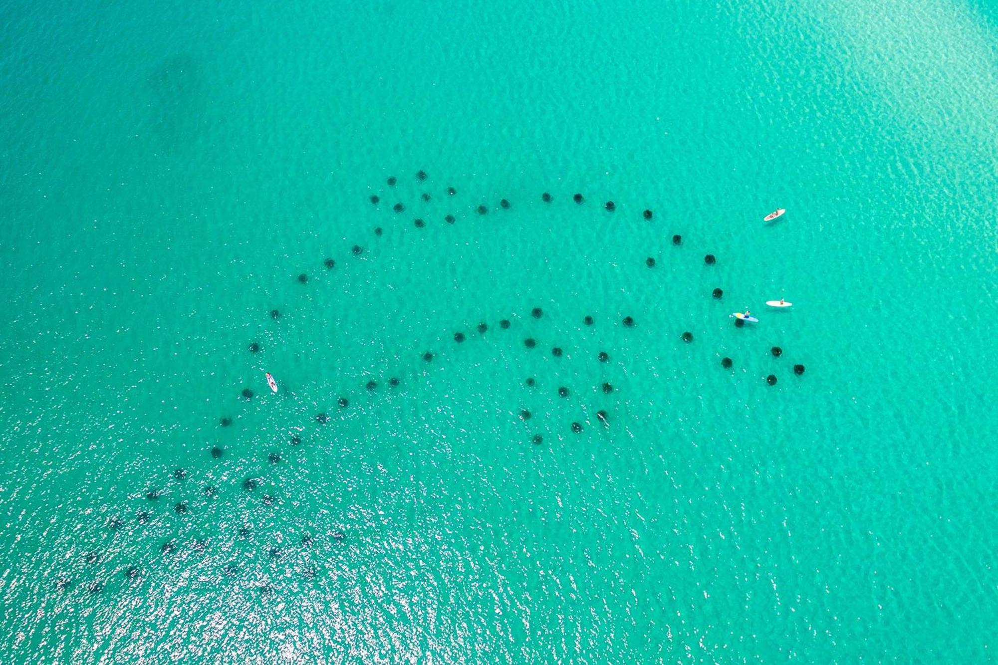 Sandpiper Cove 2136- By Isle Destin