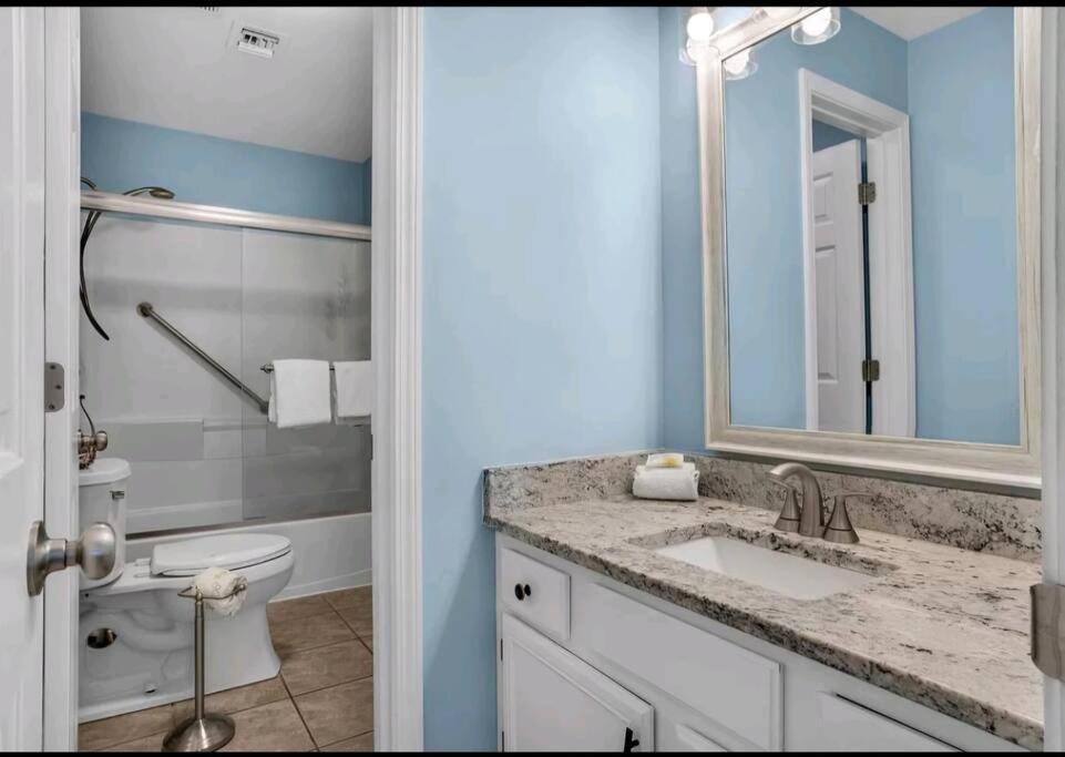 Seashell Suite!