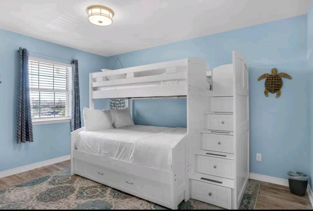 Seashell Suite! *
