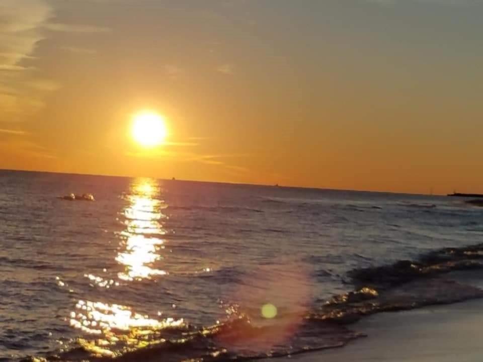 Surf And Racquet Unit 516