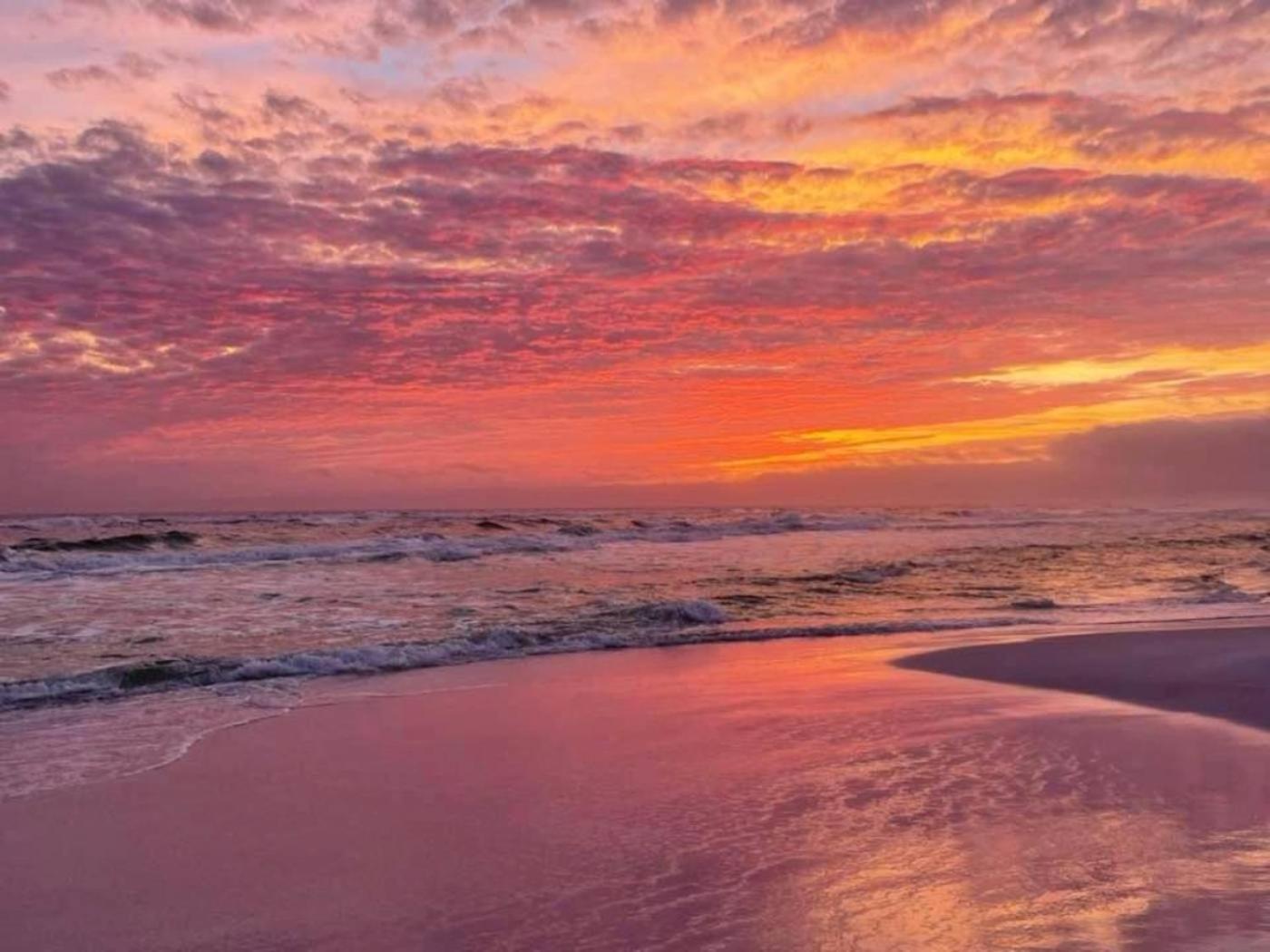 5 Star 11th Fl Stunning Sunrise 2br 2ba King Suite,pools ,shuttle Or Walk To Holiday home *