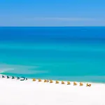Magnolia Bay 8598