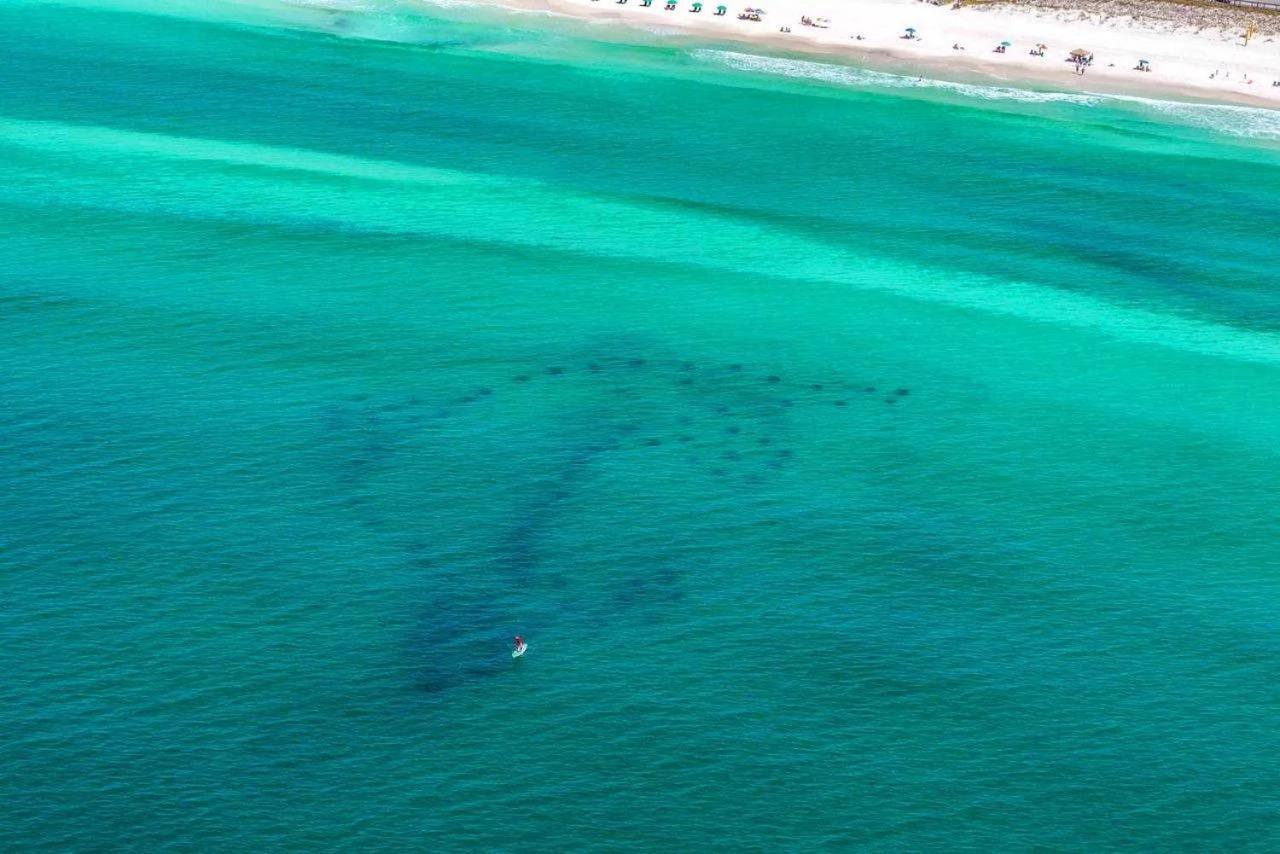 Casa Blanca * Destin