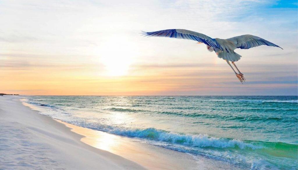 Concierge Style Luxury * Destin
